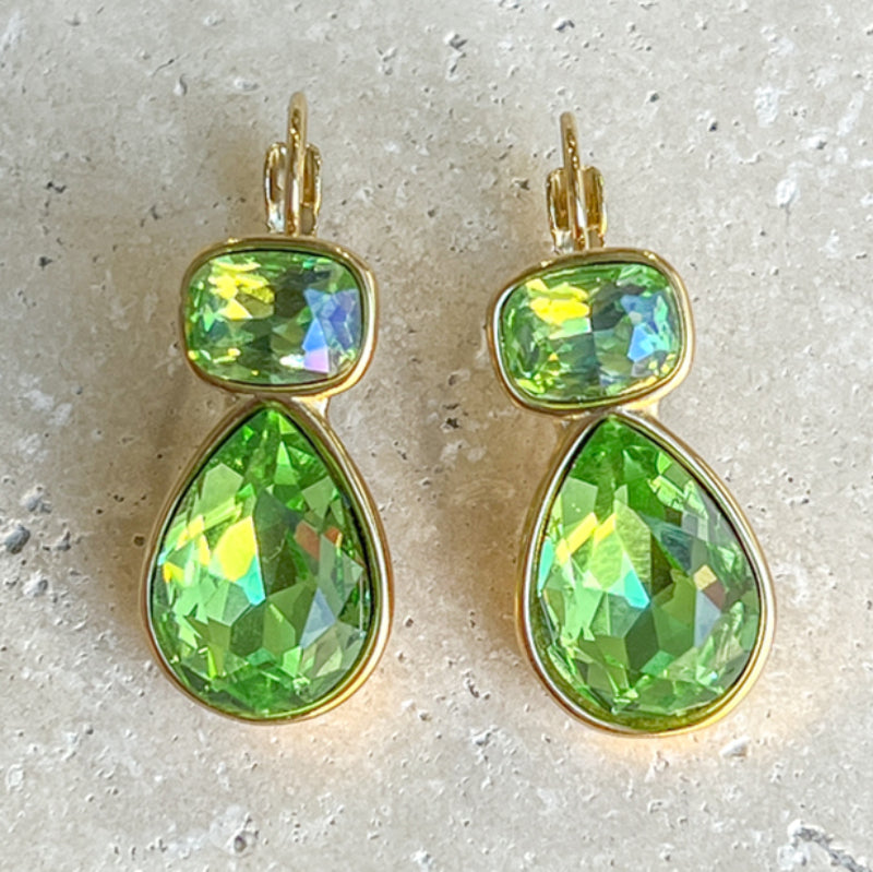 Colour Drop Earrings